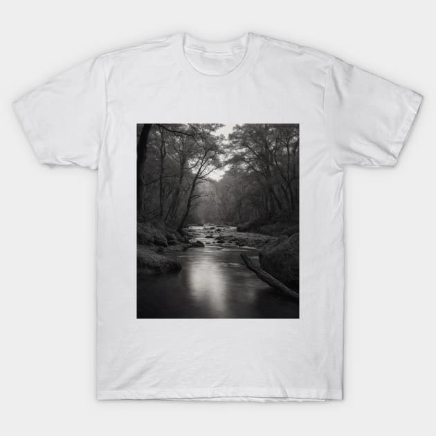 River in the middle of forest T-Shirt by deepofficial